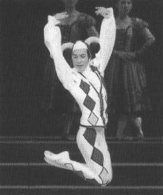 kentaro suzuki